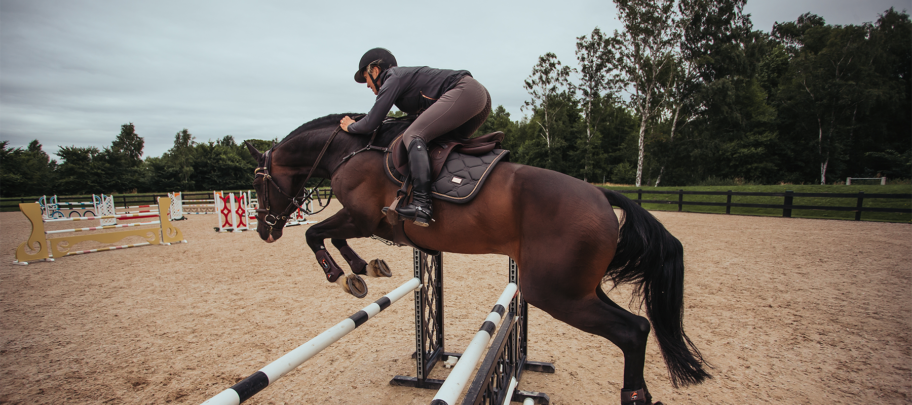 Olympics 2021: Get up to Speed With the Showjumping