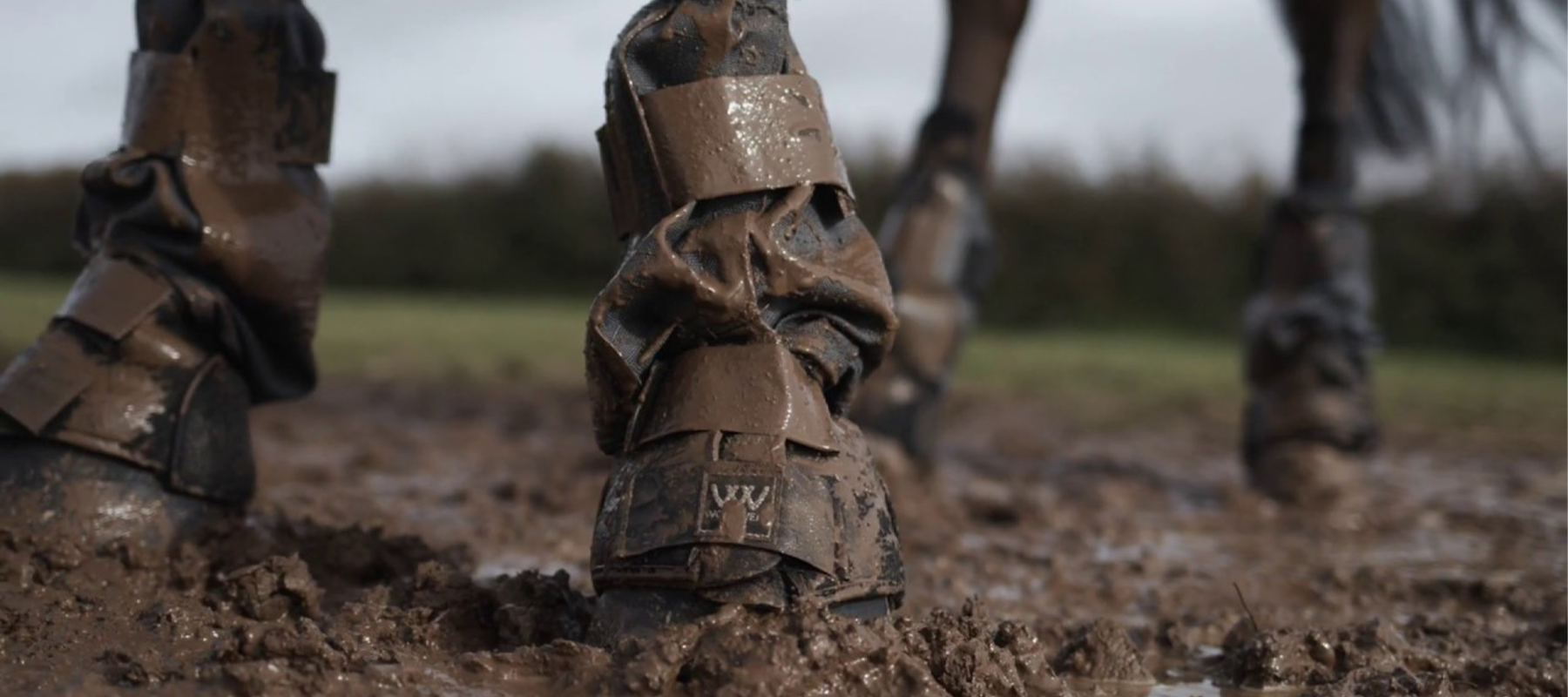 Equiflair Explains: What is Mud Fever and How do I Treat it?