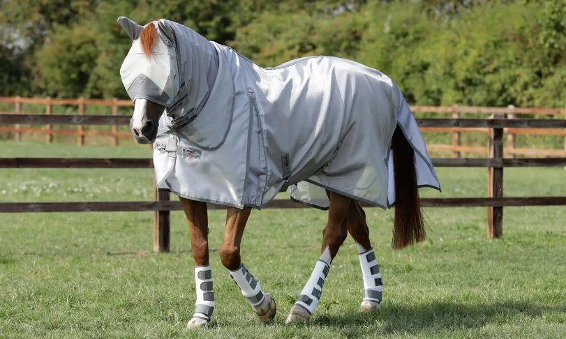 Fly Rugs FAQ: Everything You Need to Know (Fit, Mesh, Sweet Itch & Care) - Equiflair