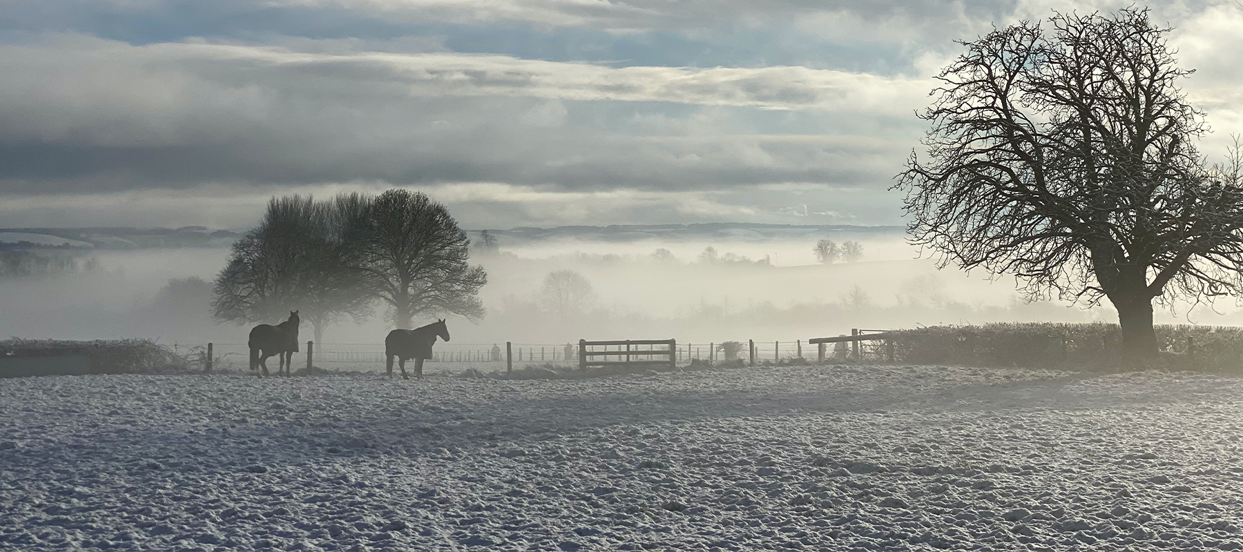 Equiflairs Top 7 Winter Yard and Stable Hacks