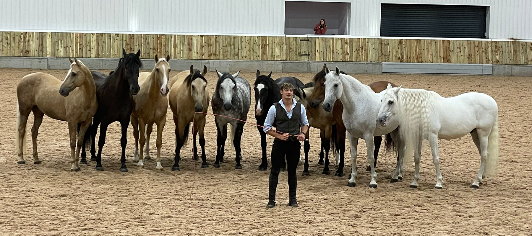 Equiflair Explains: The Basics of Training Your Horse at Liberty