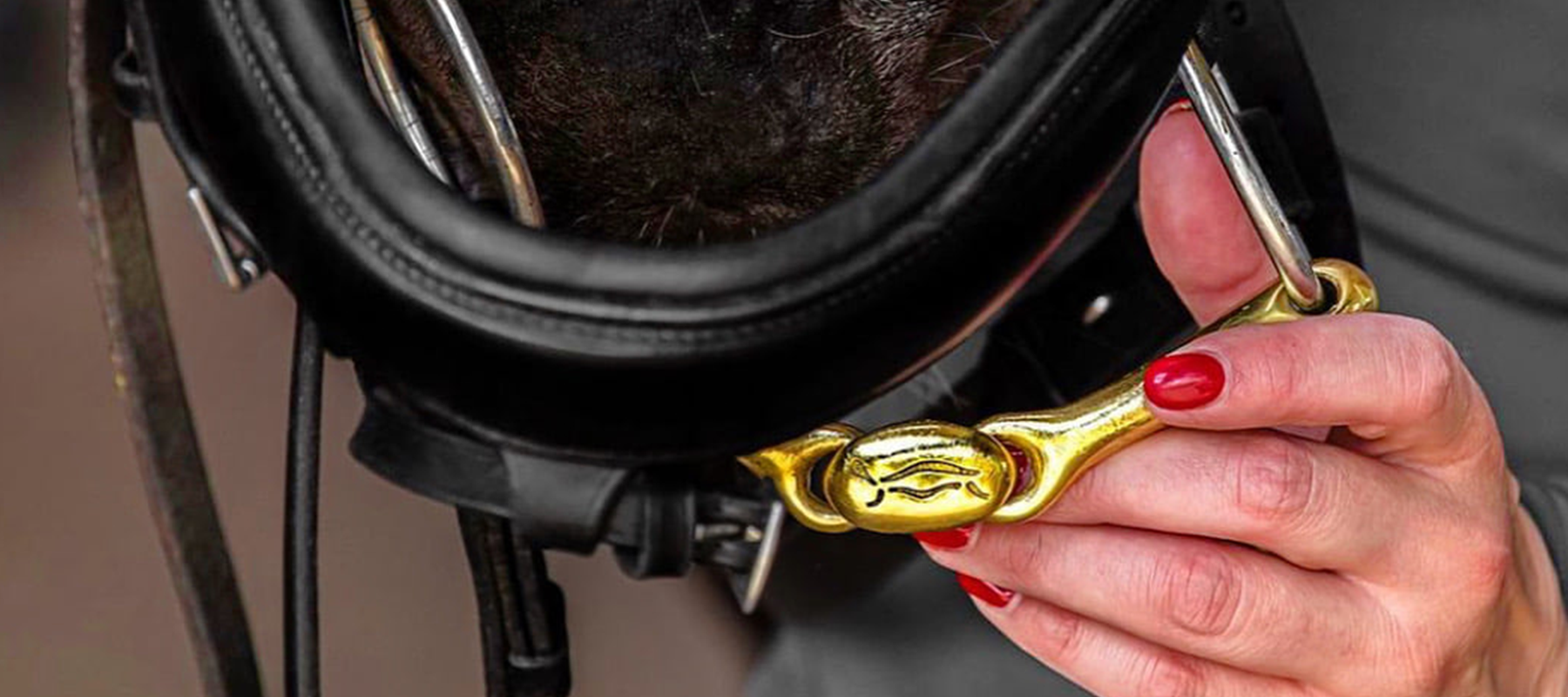 Equiflair Explains: How To Correctly Measure Your Neue Schule Bit