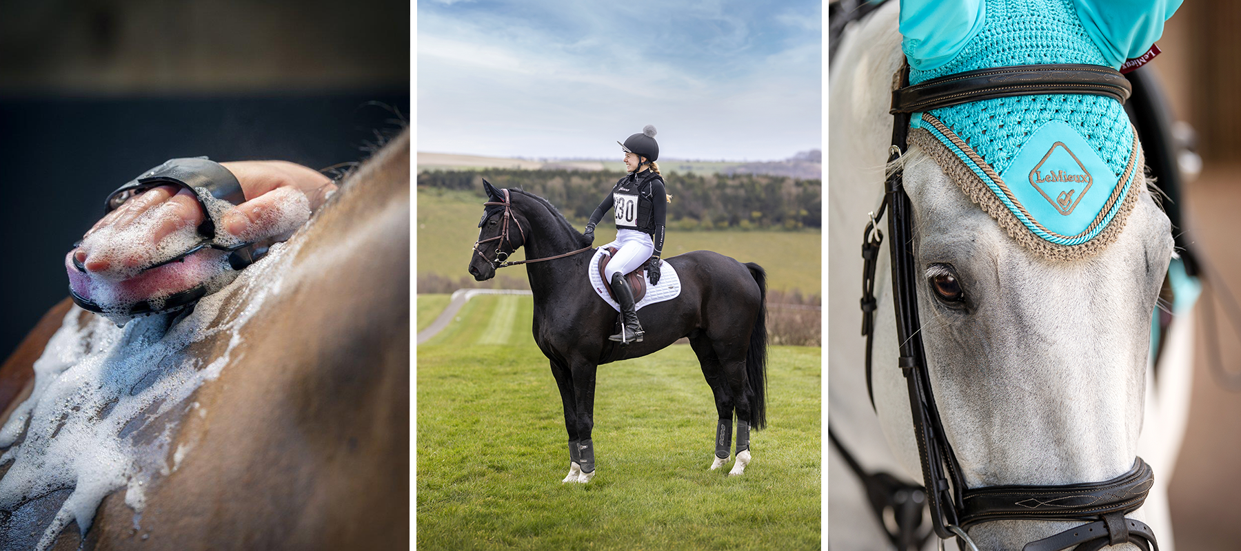 Five Ways To Treat Your Horse This Summer