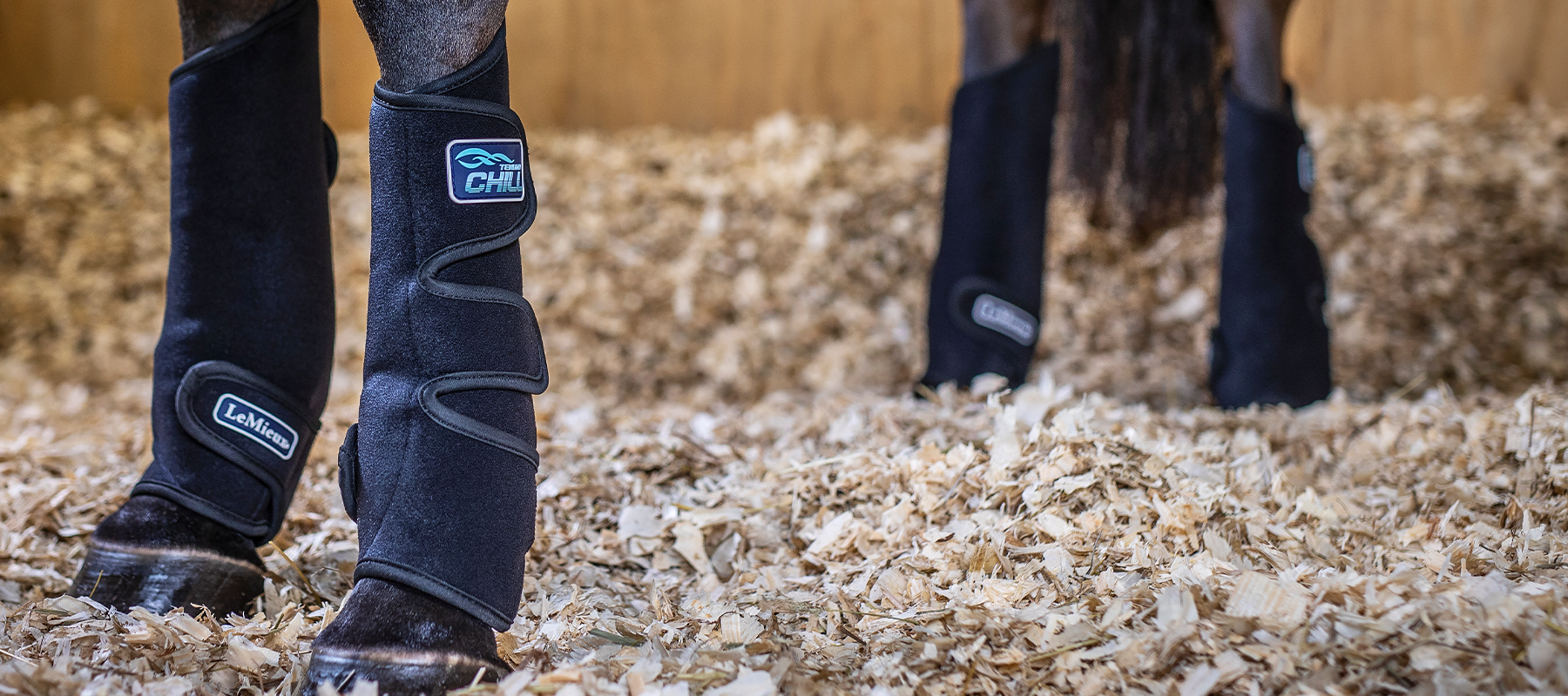 Equiflair Explains: How Ice Therapy Can Help Your Horse