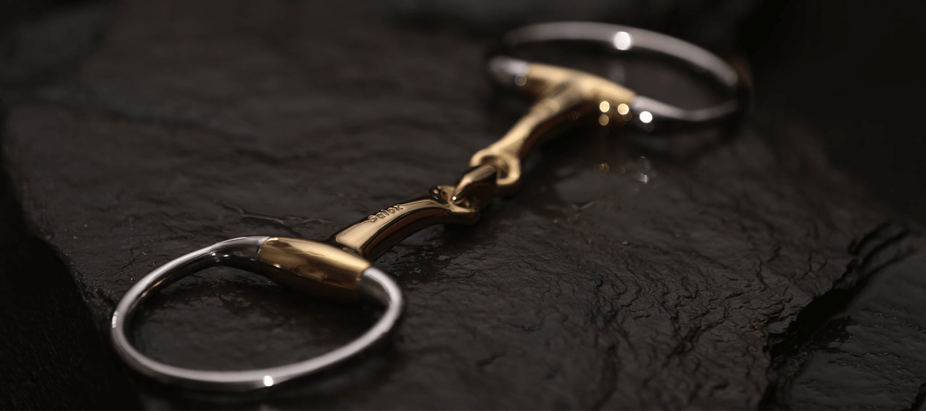 Neue Schule Bits: Why Are They So Special? - Equiflair