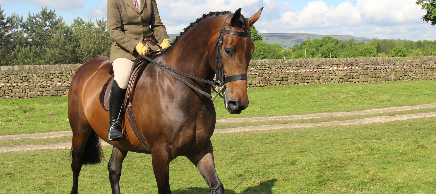 Equiflair Explains: Our Top 3 Showing Hacks to Get Your Horse Show Ring Ready
