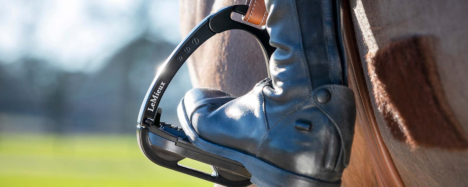 LeMieux Vector Stirrups (Irons) and Vector Stirrup Leathers: The Complete Buyer’s Guide - Equiflair