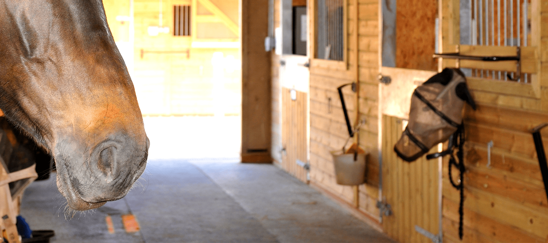 Four Top Tips For Moving Yards - Equiflair