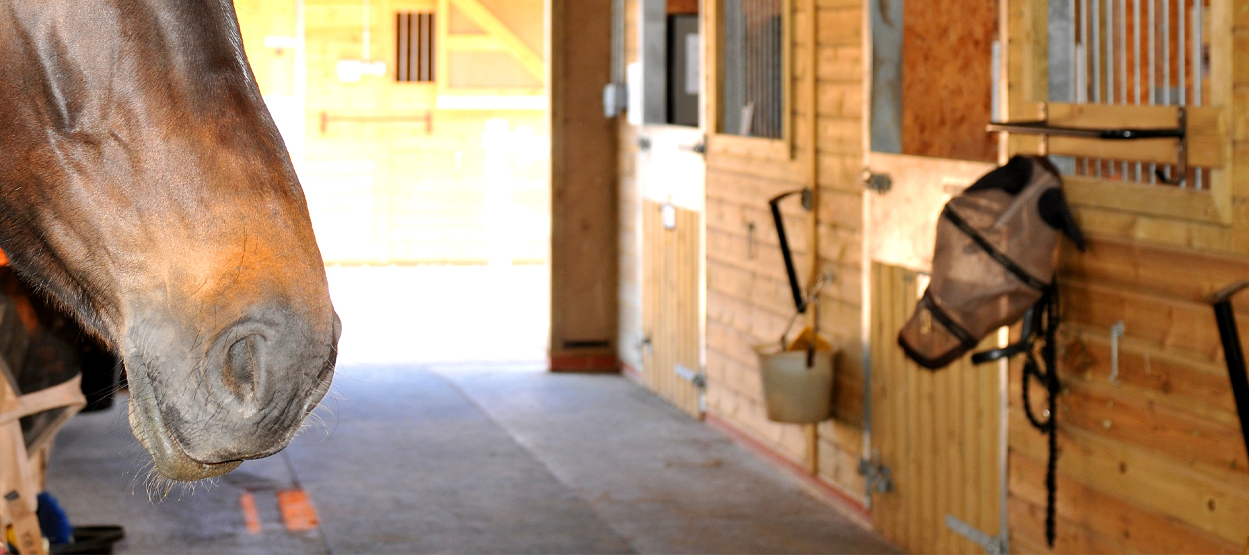 Four Top Tips For Moving Yards