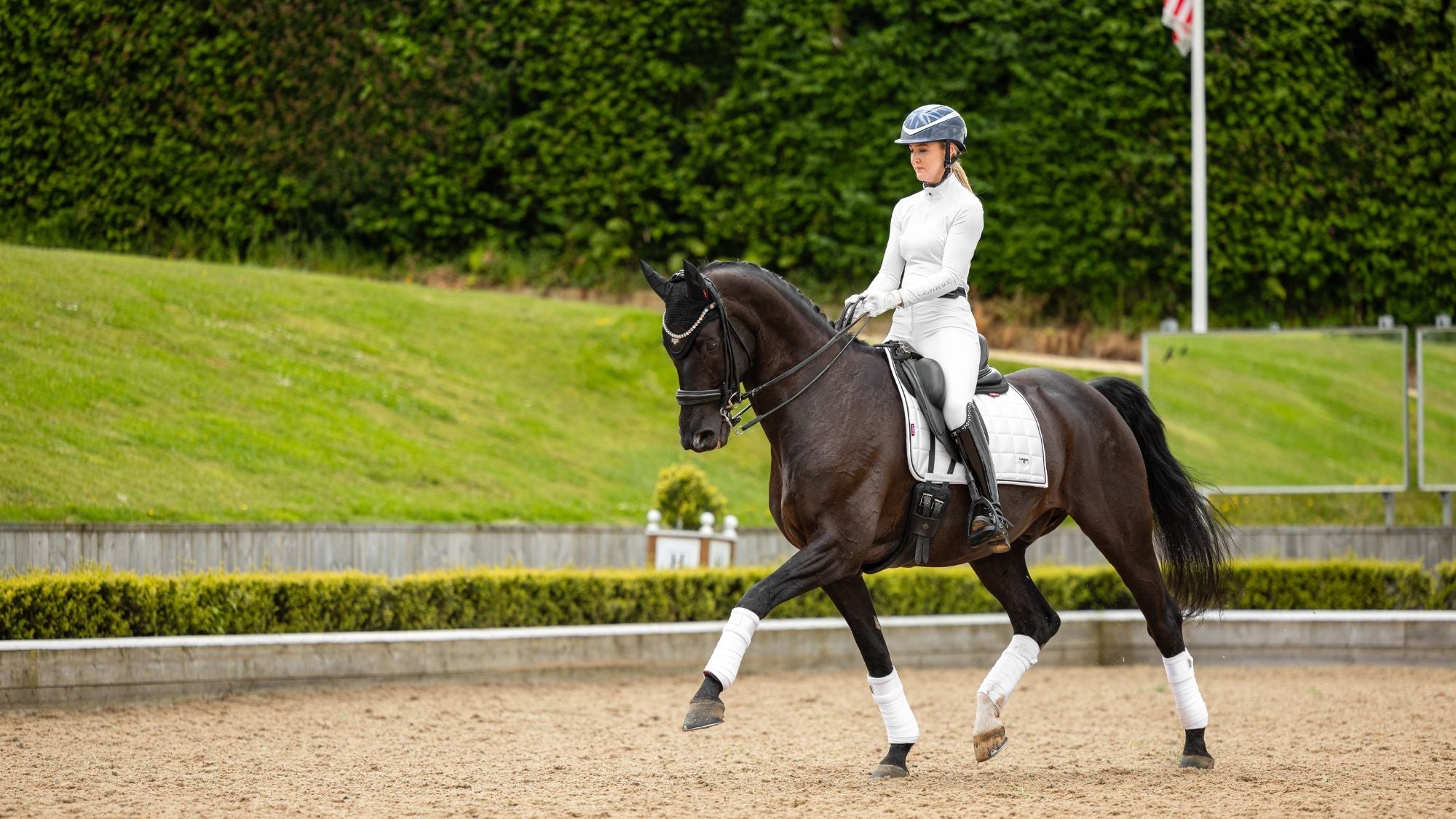 LeMieux White - Equiflair