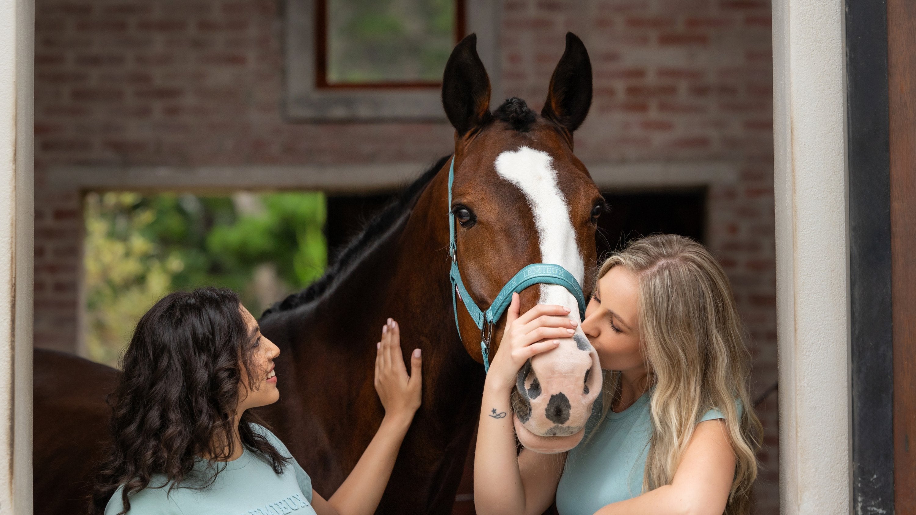 LeMieux SS25 Lagoon - Equiflair