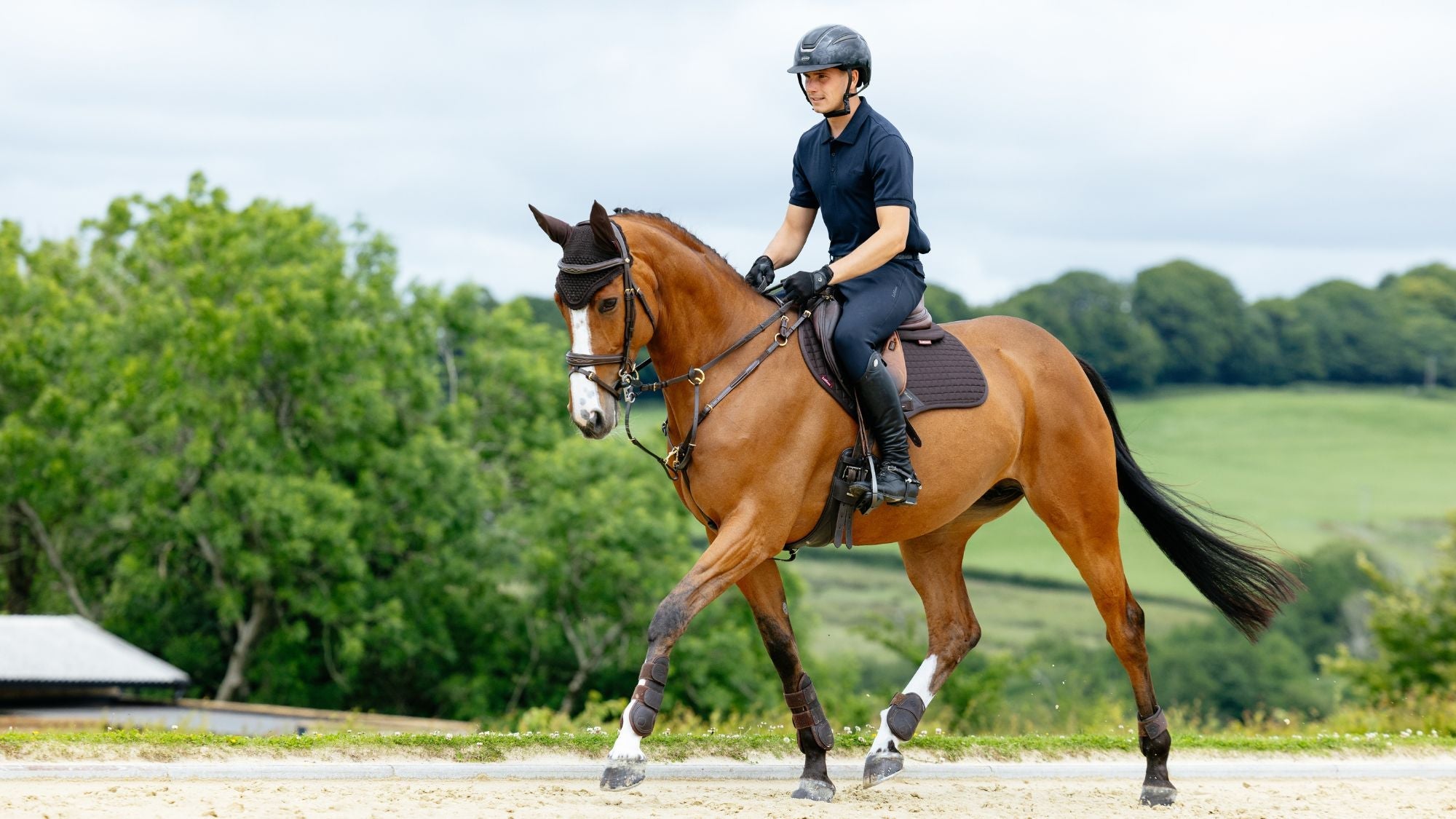 LeMieux Brown - Equiflair