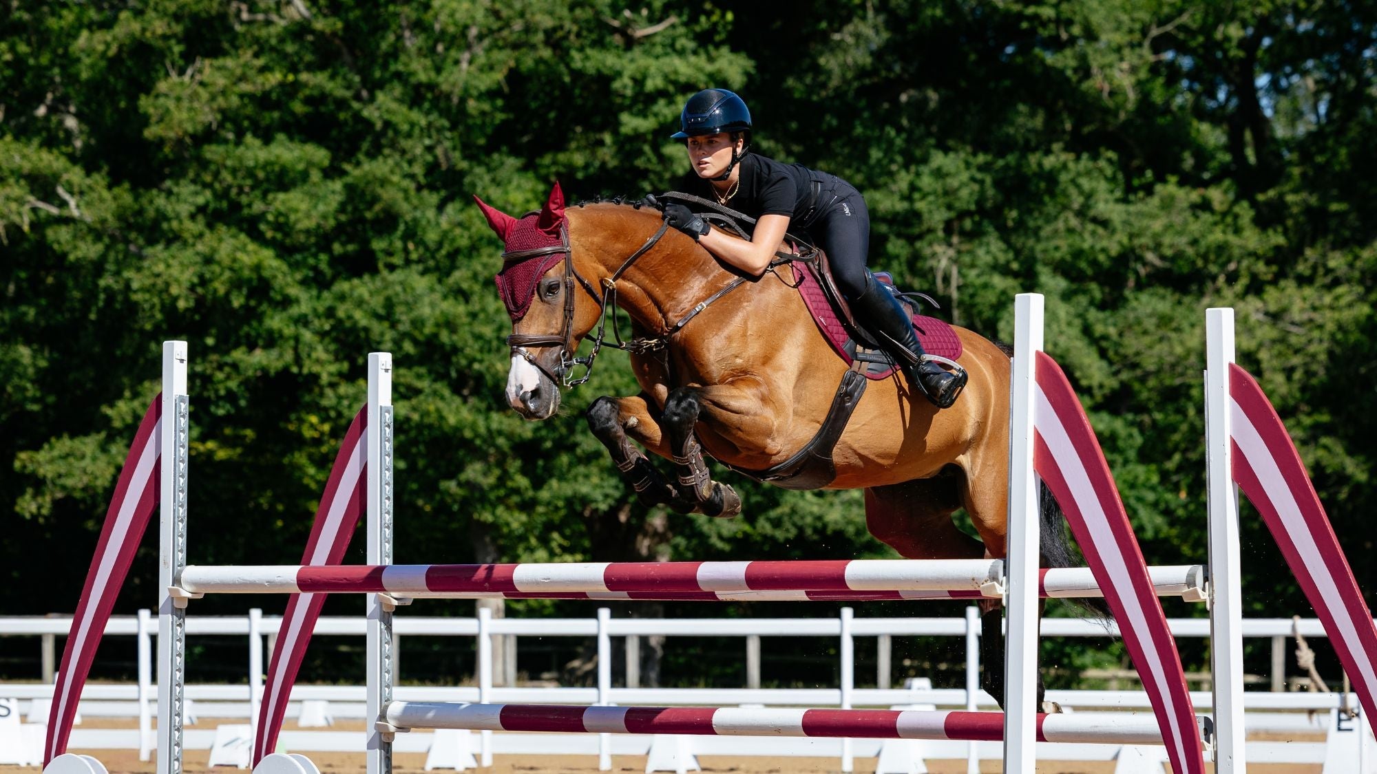LeMieux Burgundy - Equiflair