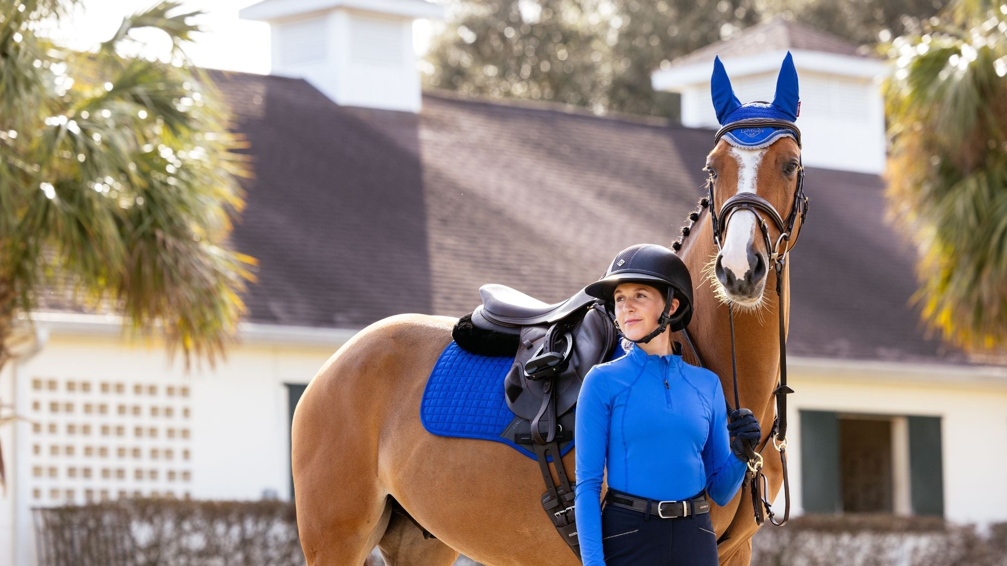 LeMieux Benetton Blue - Equiflair
