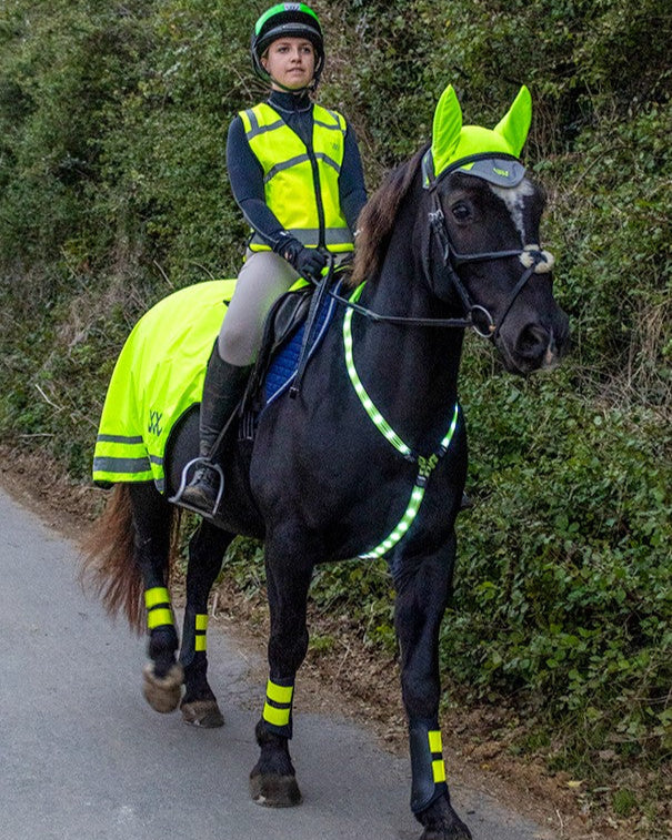 Woof Wear LED Hi Viz Neckband: Horse & Rider Safety Gear, Equiflair