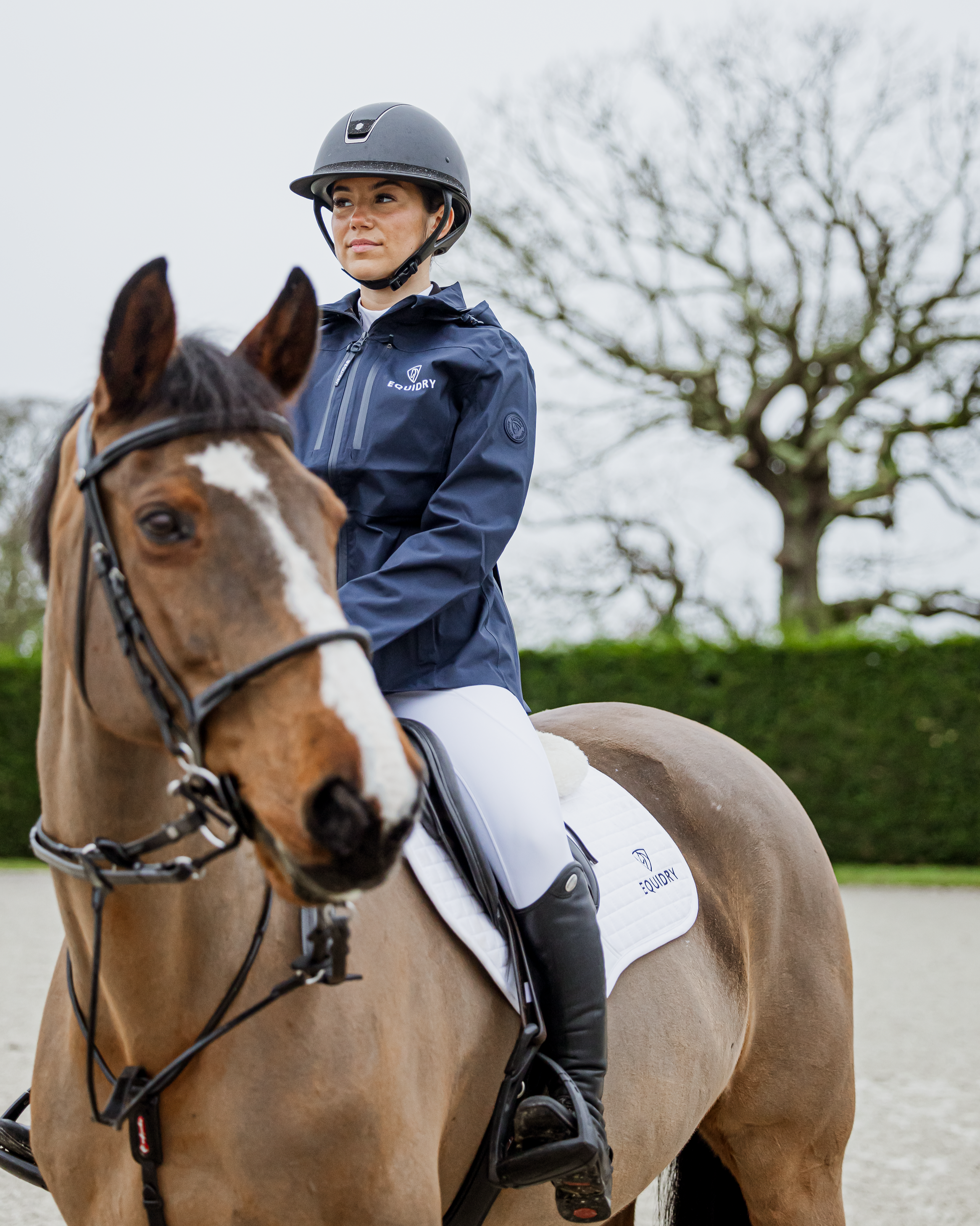 EQUIDRY Varsha Waterproof Riding Jacket Women's Navy