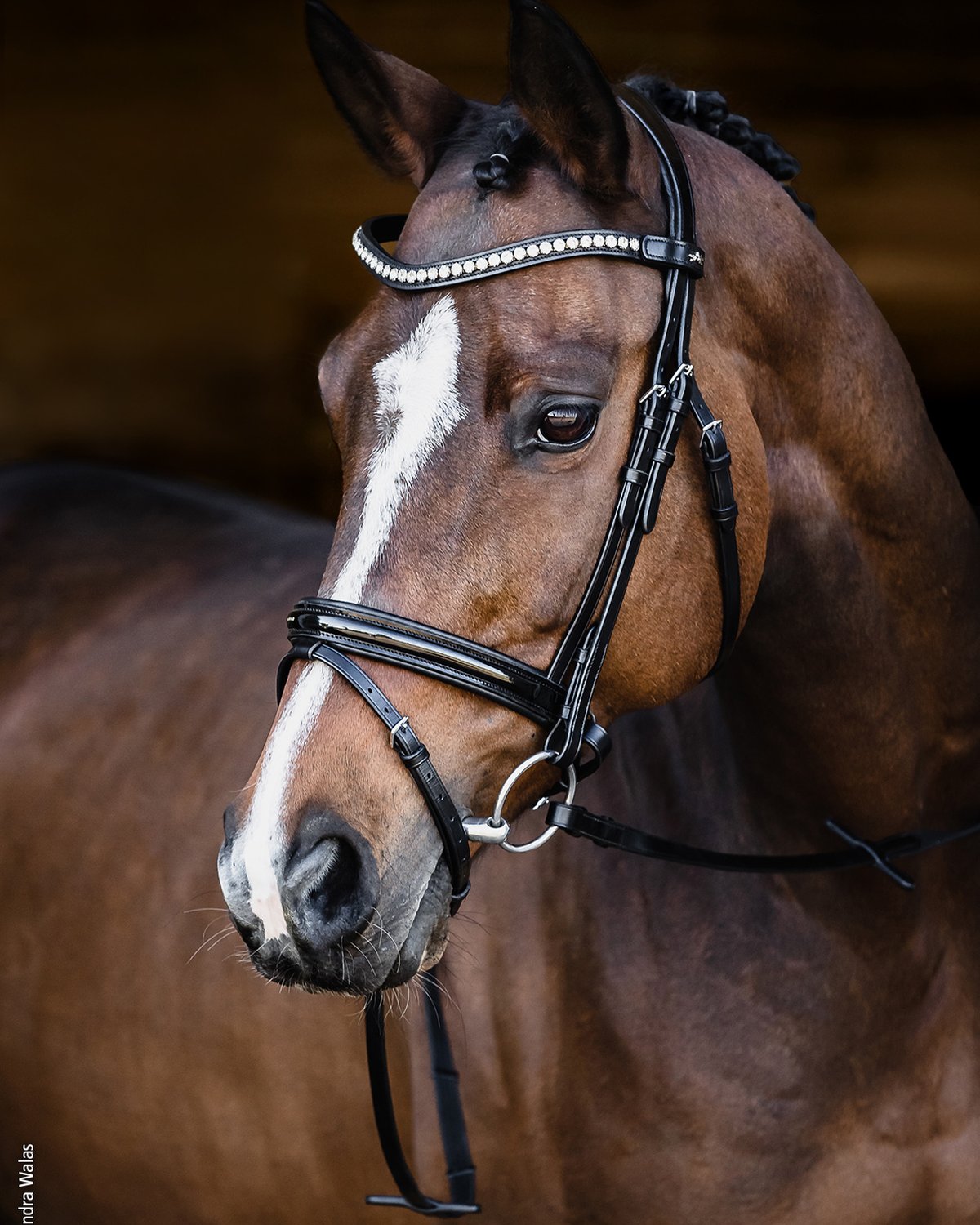 SCHOCKEMOHLE Palermo Black/Patent/Silver Bridle - Anatomical Horse Bridle with Crystal Browband - Equiflair