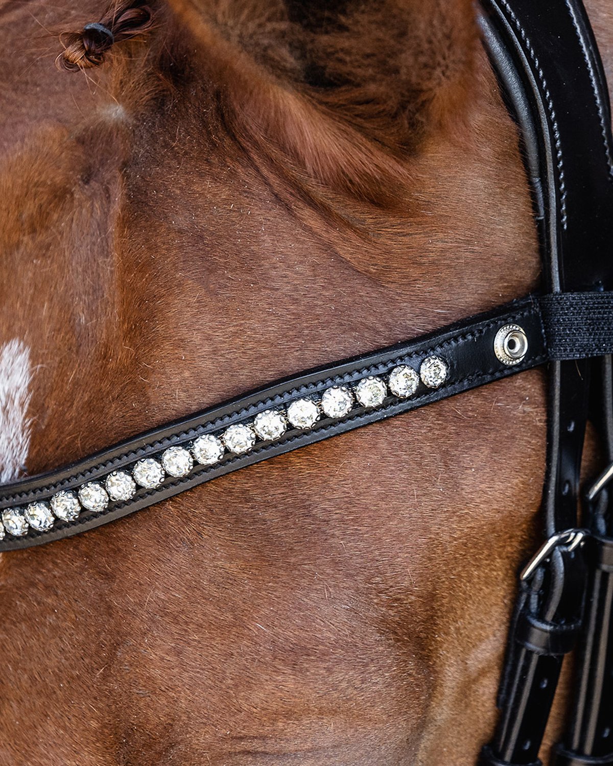 Schockemohle Bridle Pisa black/silver