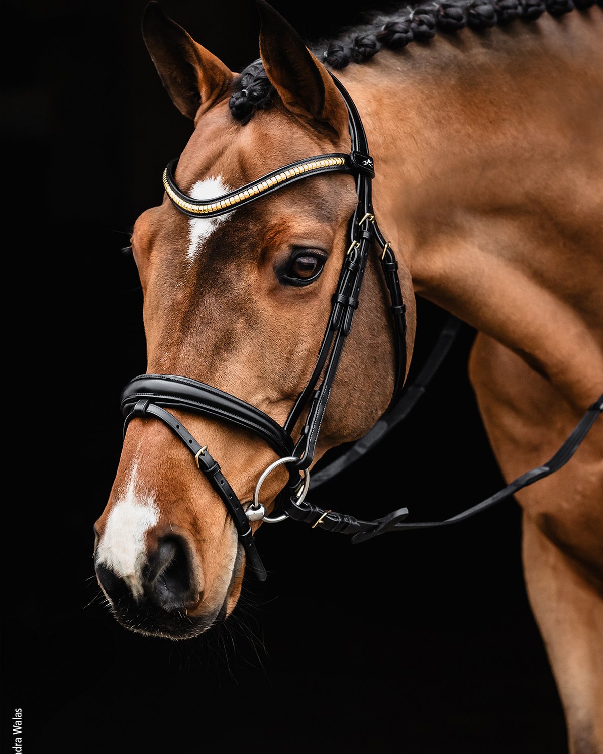 Schockemohle Bridle Monza C black/gold