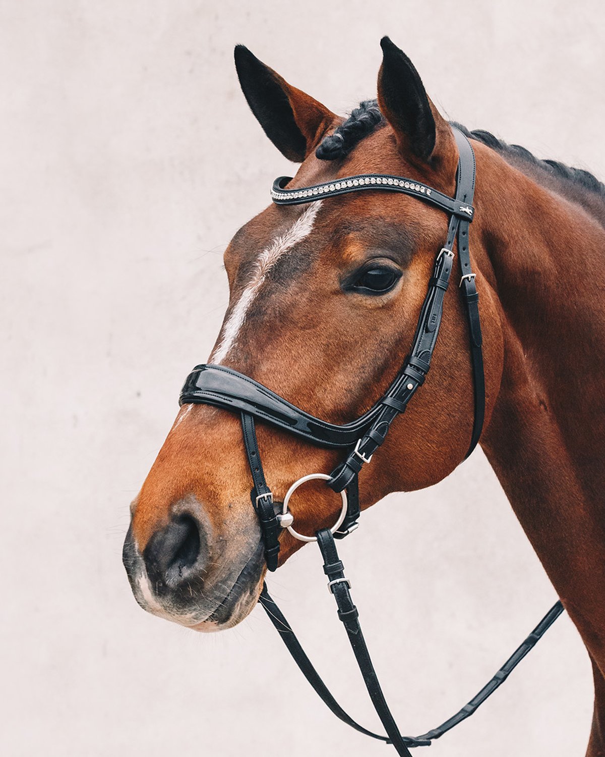 Schockemohle Bridle Equitus Beta black patent/silver
