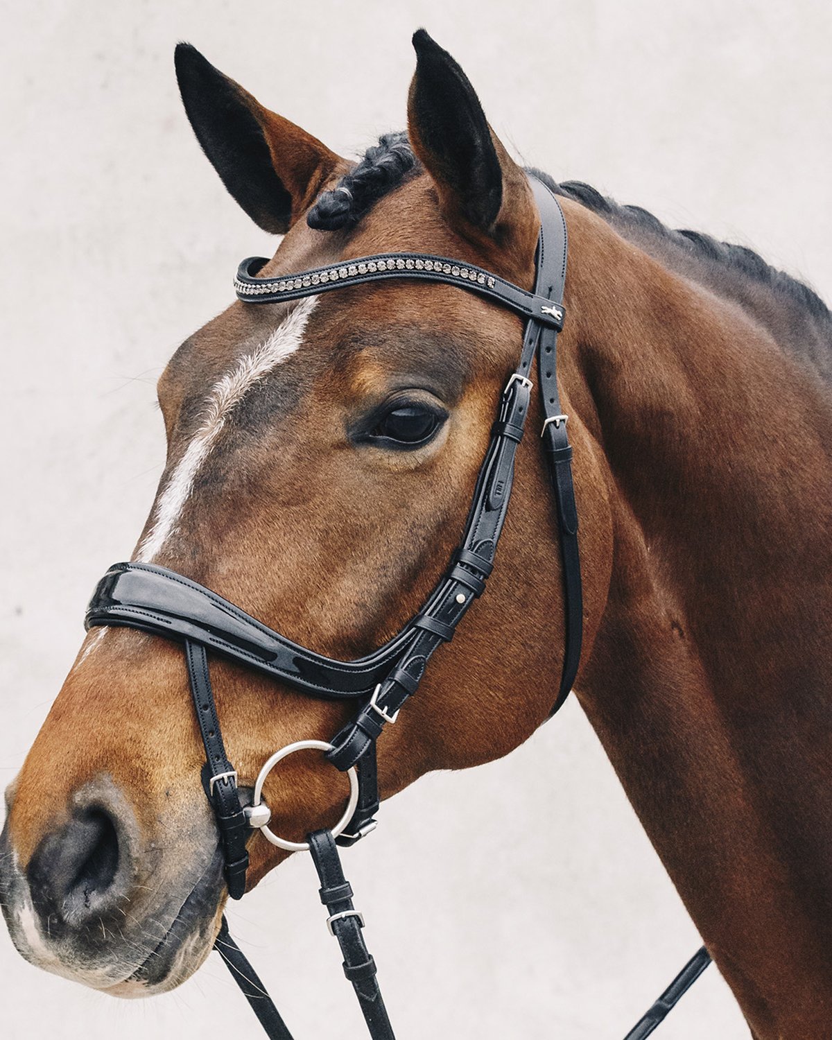 Schockemohle Bridle Equitus Beta black patent/silver