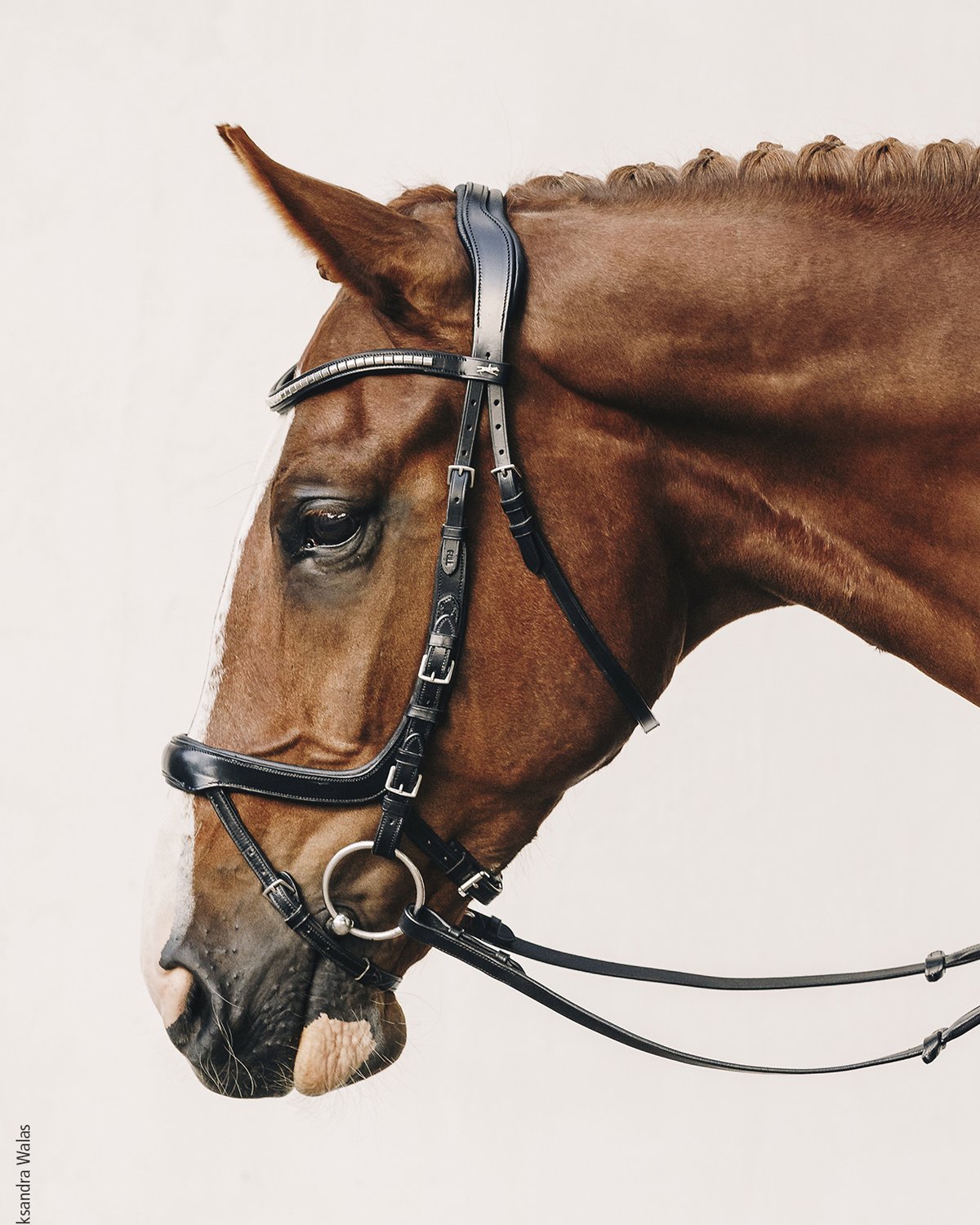 Schockemohle Equitus Omega Anatomic Bridle Black/Silver | Equiflair