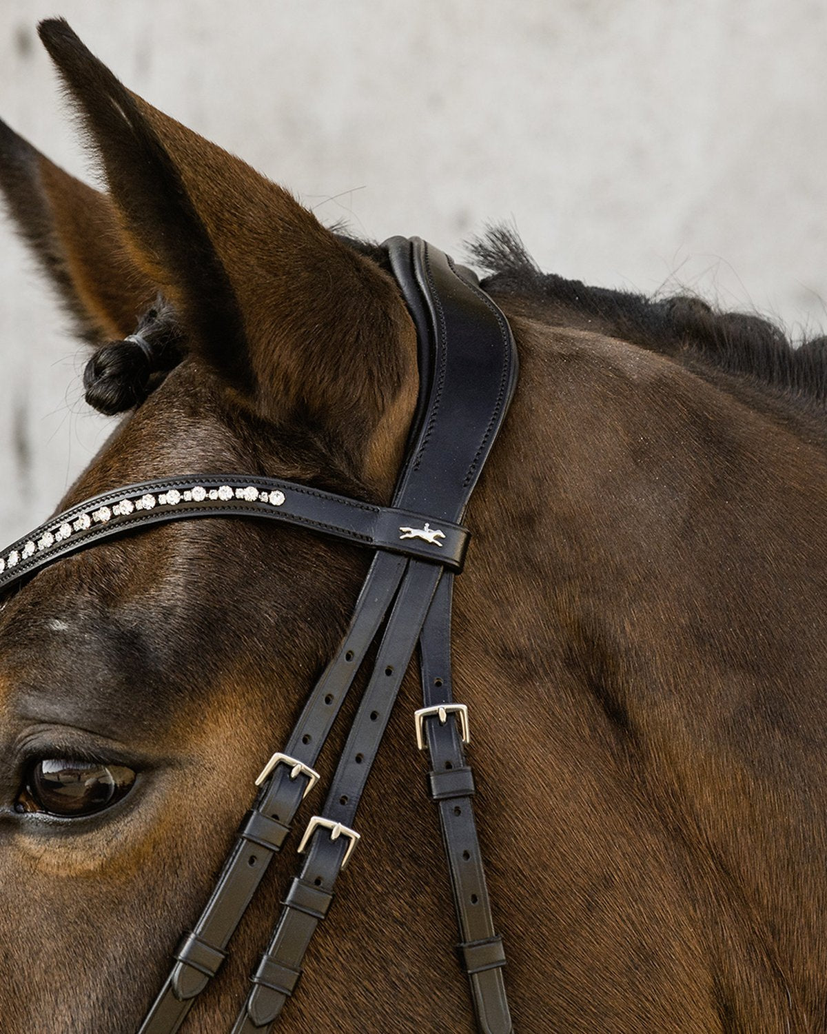 Schockemohle Brantford Black Leather Dressage Bridle - Crystal Browband - Equiflair
