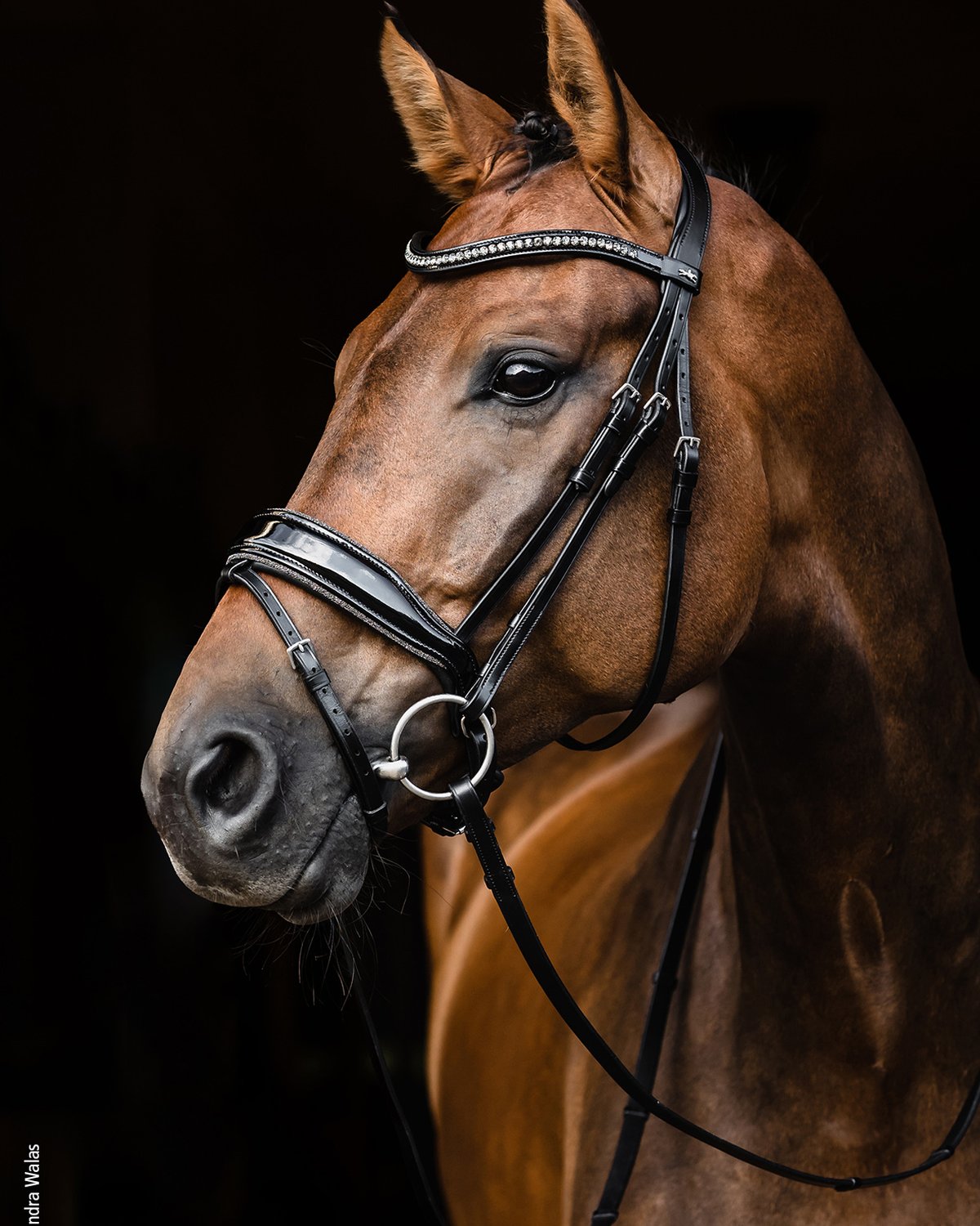 Schockemohle Bridle Stanford Glam black/patent/silver