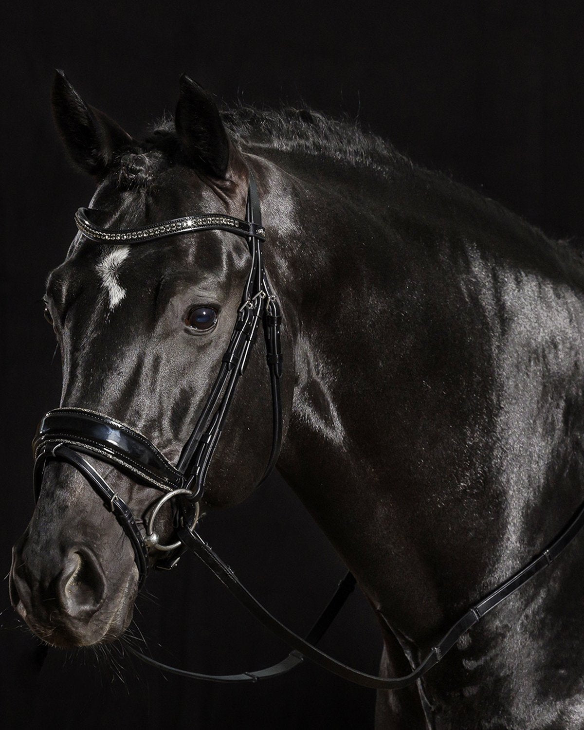 Schockemohle Bridle Stanford Glam black/patent/silver