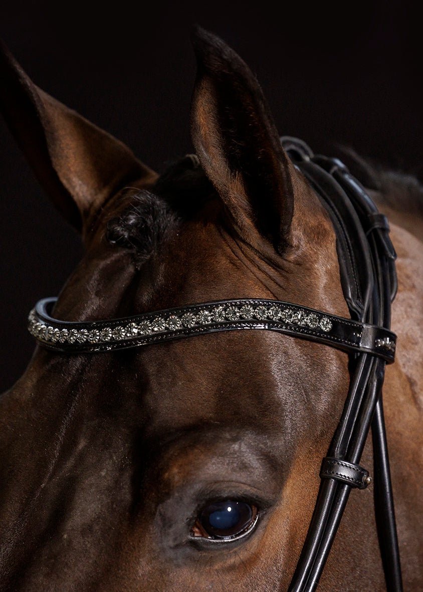 Schockemohle Bridle Westminster Espresso/Silver | Equiflair