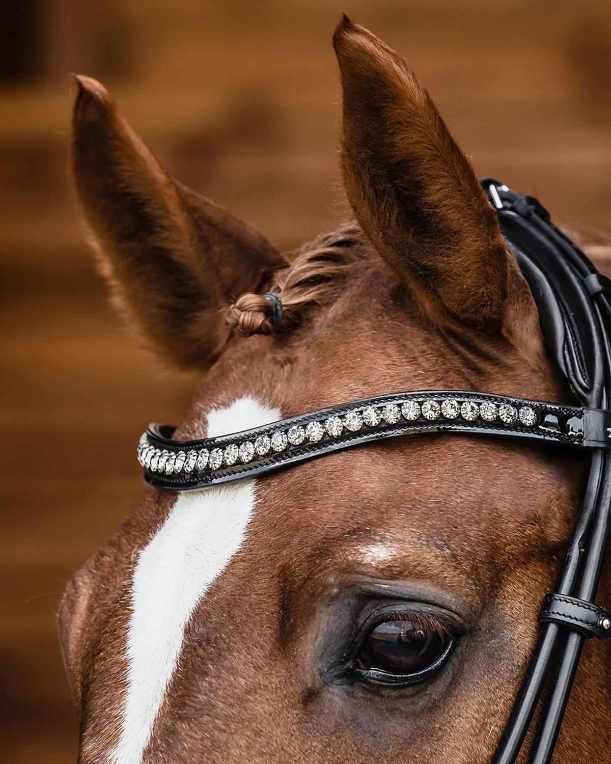 Schockemohle Bridle Westminster black/patent/silver