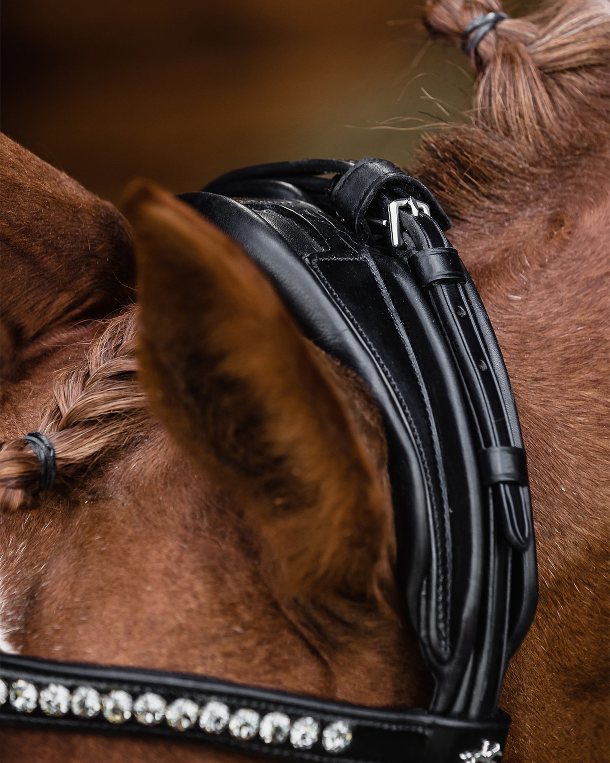 Schockemohle Bridle Westminster black/patent/silver