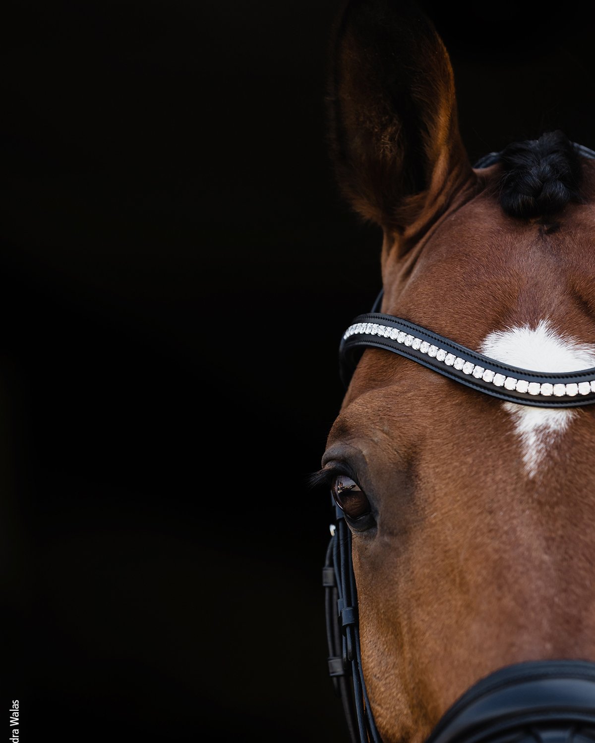 Schockemohle Bridle Charleston black/silver