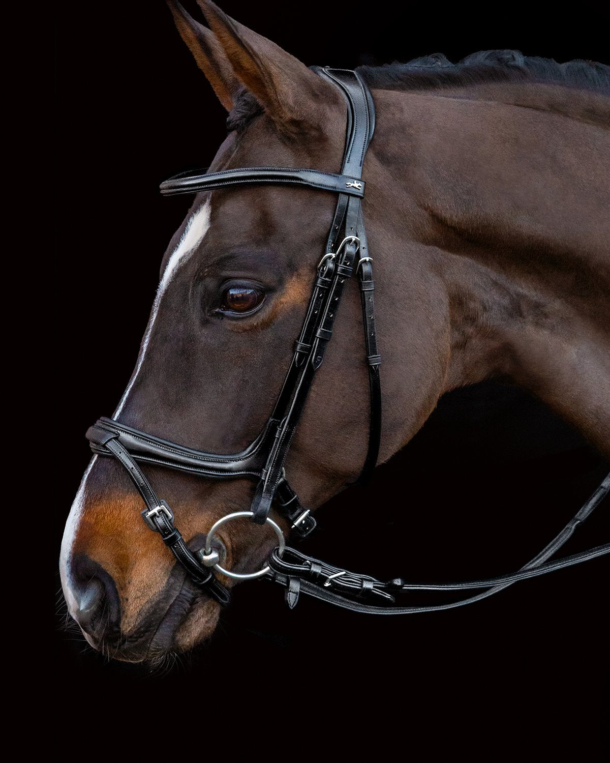Schockemohle Bridle Ancona Select black/silver