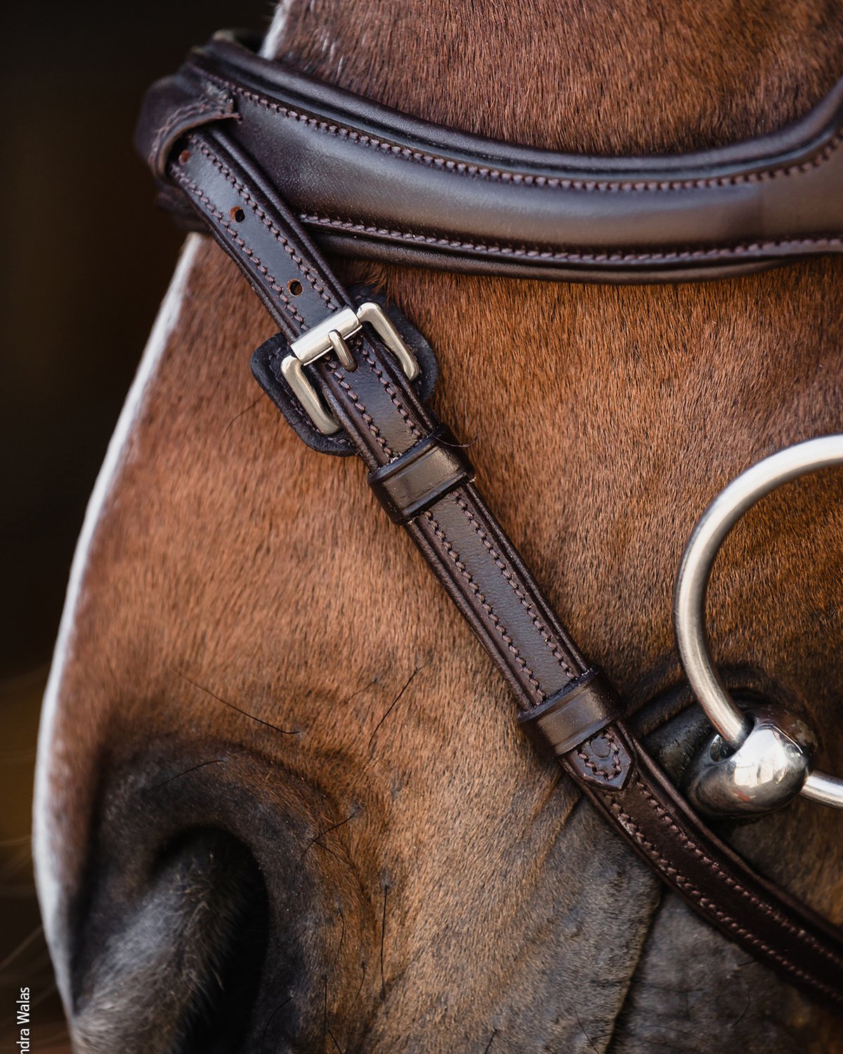 Schockemohle Bridle Ancona Select espresso/silver
