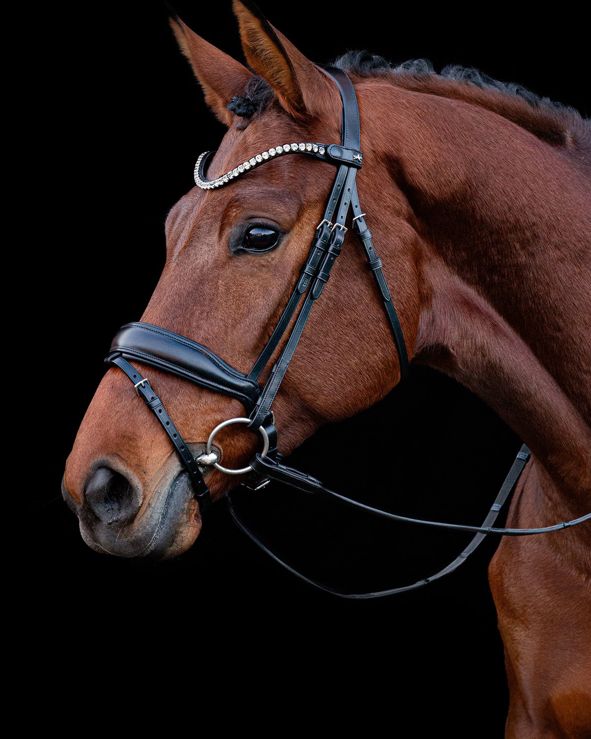 Schockemohle Bridle Siena black/silver