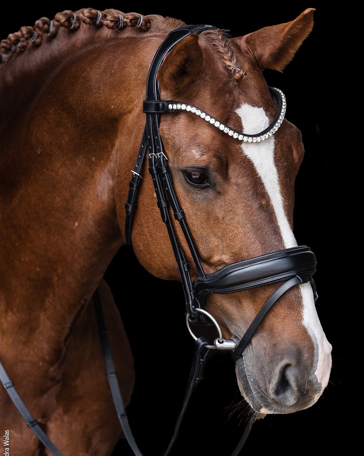 Schockemohle Bridle Siena black/silver