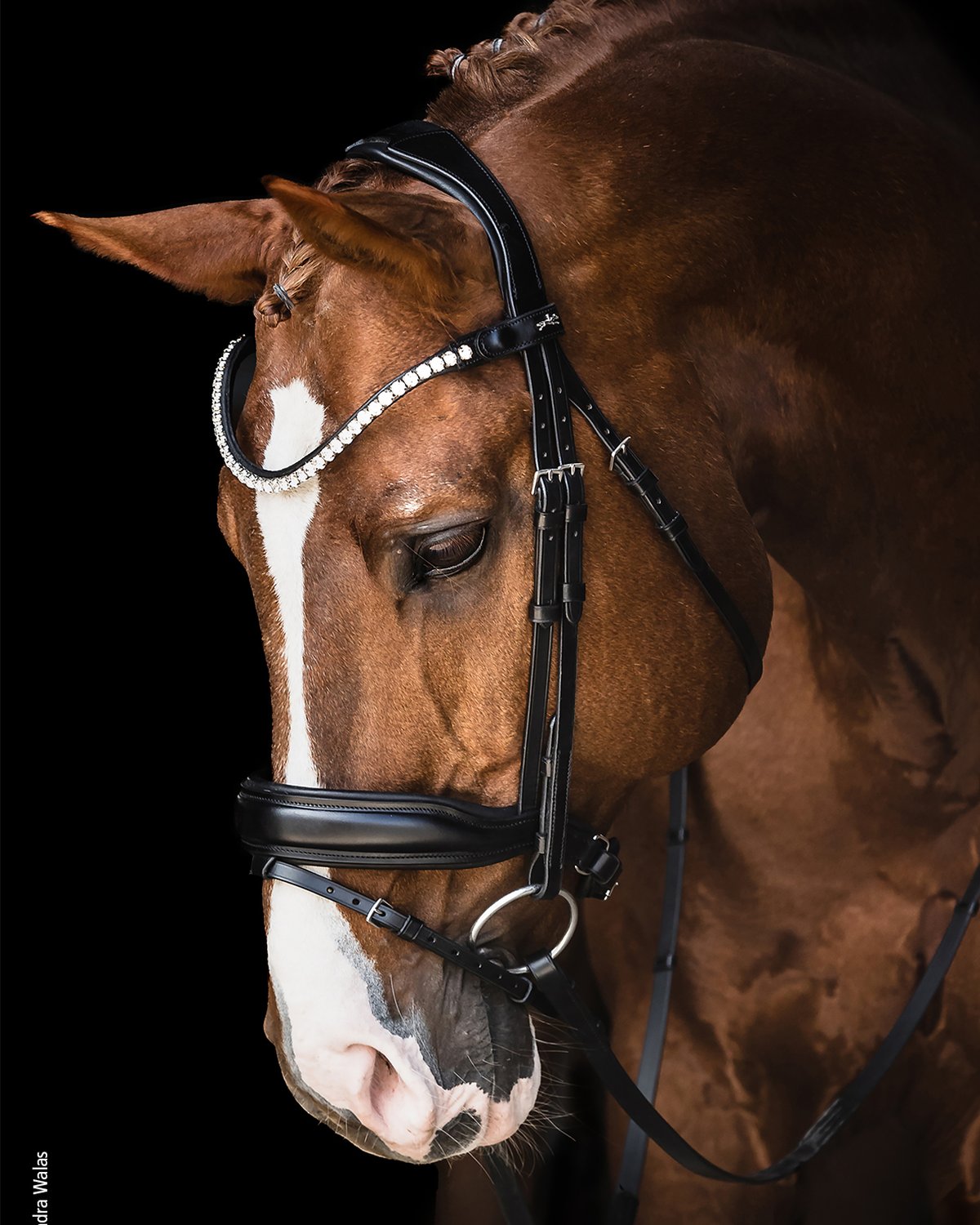 Schockemohle Bridle Siena black/silver