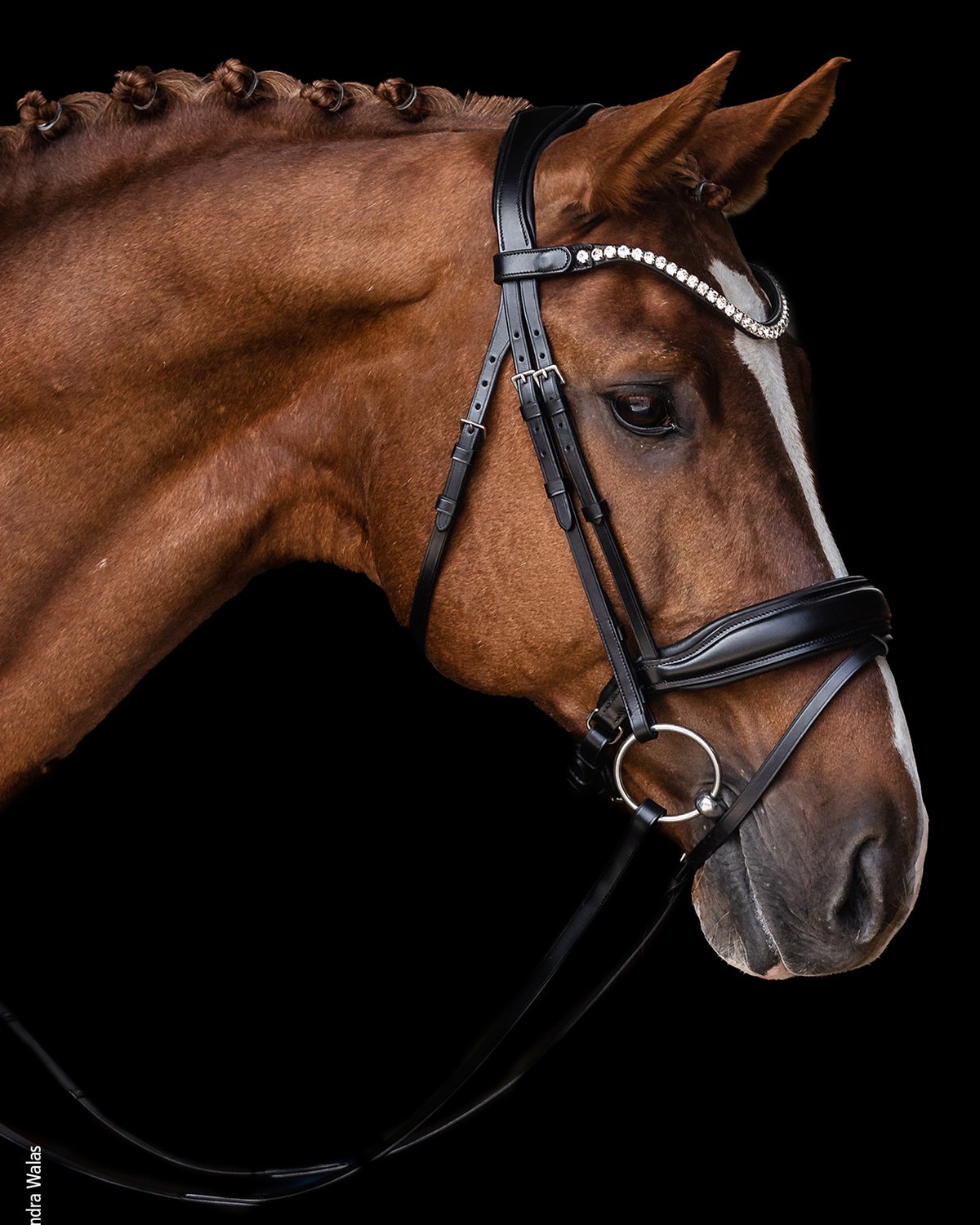Schockemohle Bridle Siena black/silver