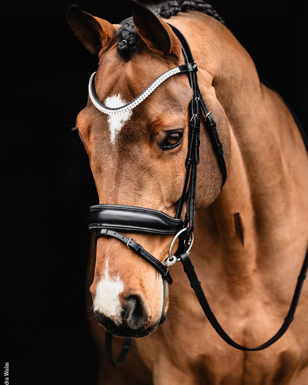 Schockemohle Bridle Valencia black/silver