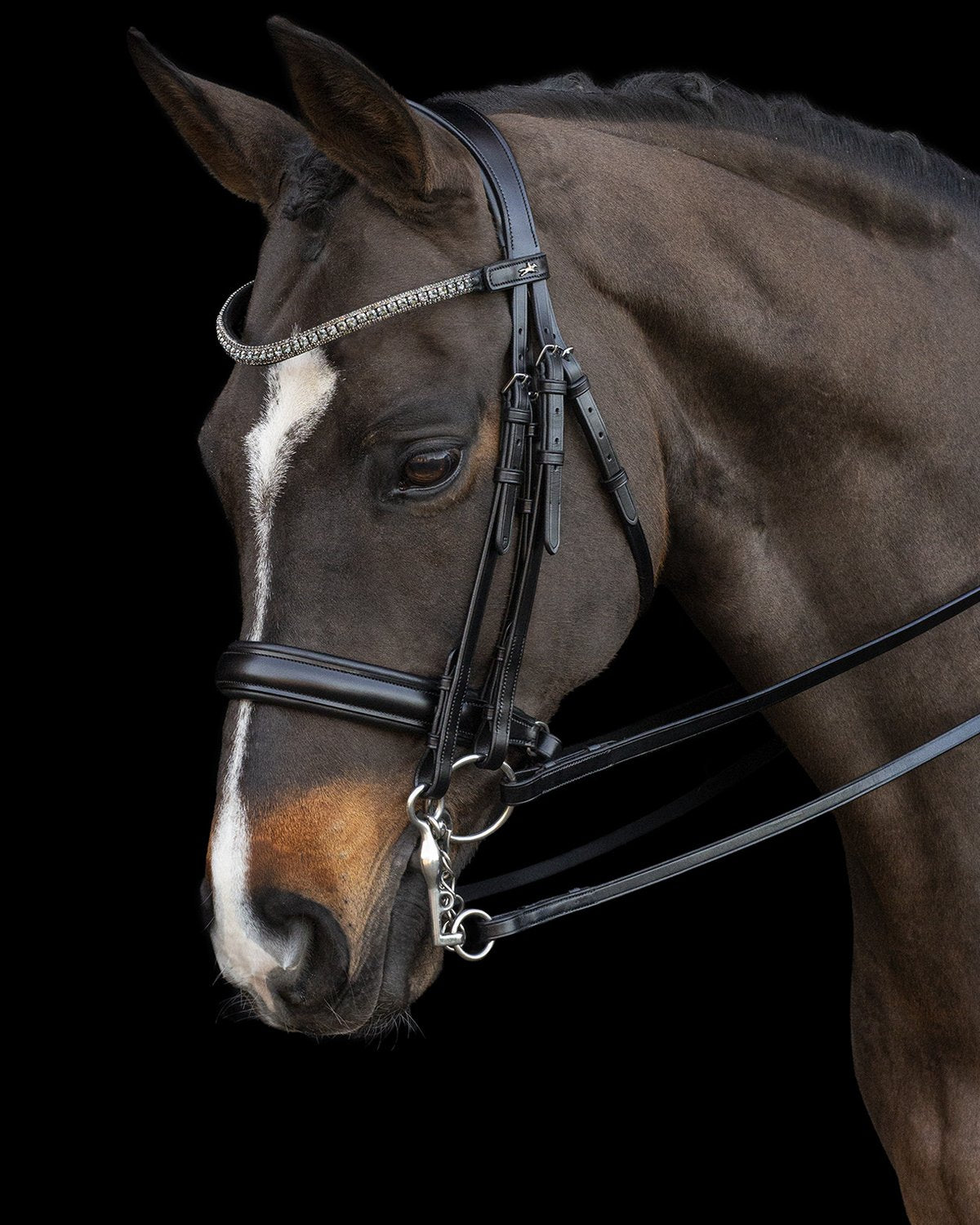 SCHOCKEMOHLE Brindisi Double Bridle - Black Equestrian Horse Bridle with Crystal Browband | Equiflair