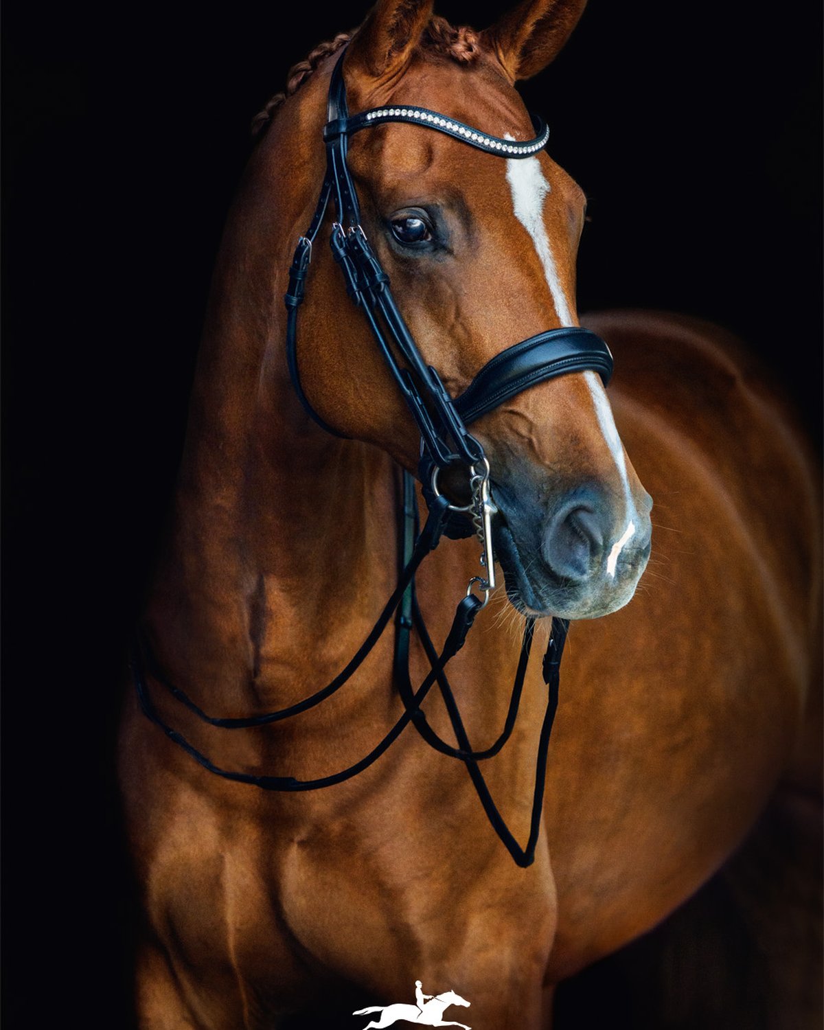 Schockemohle Double Bridle Venice black/silver