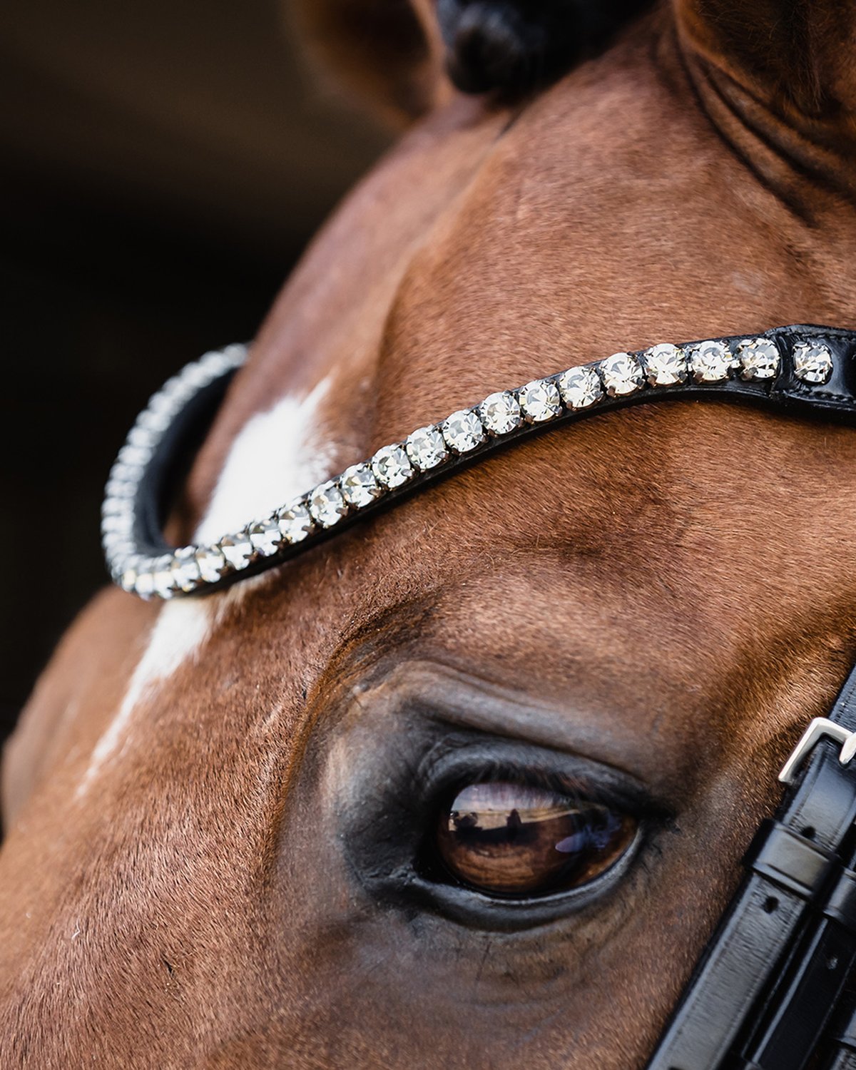 Schockemohle Double Bridle Milazzo black/patent/grey