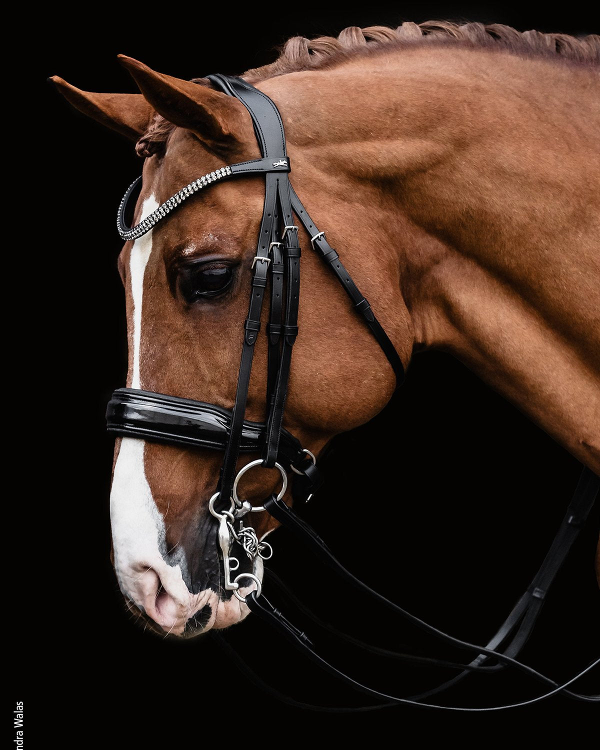 Schockemohle Double Bridle Monticelli black/patent/silver