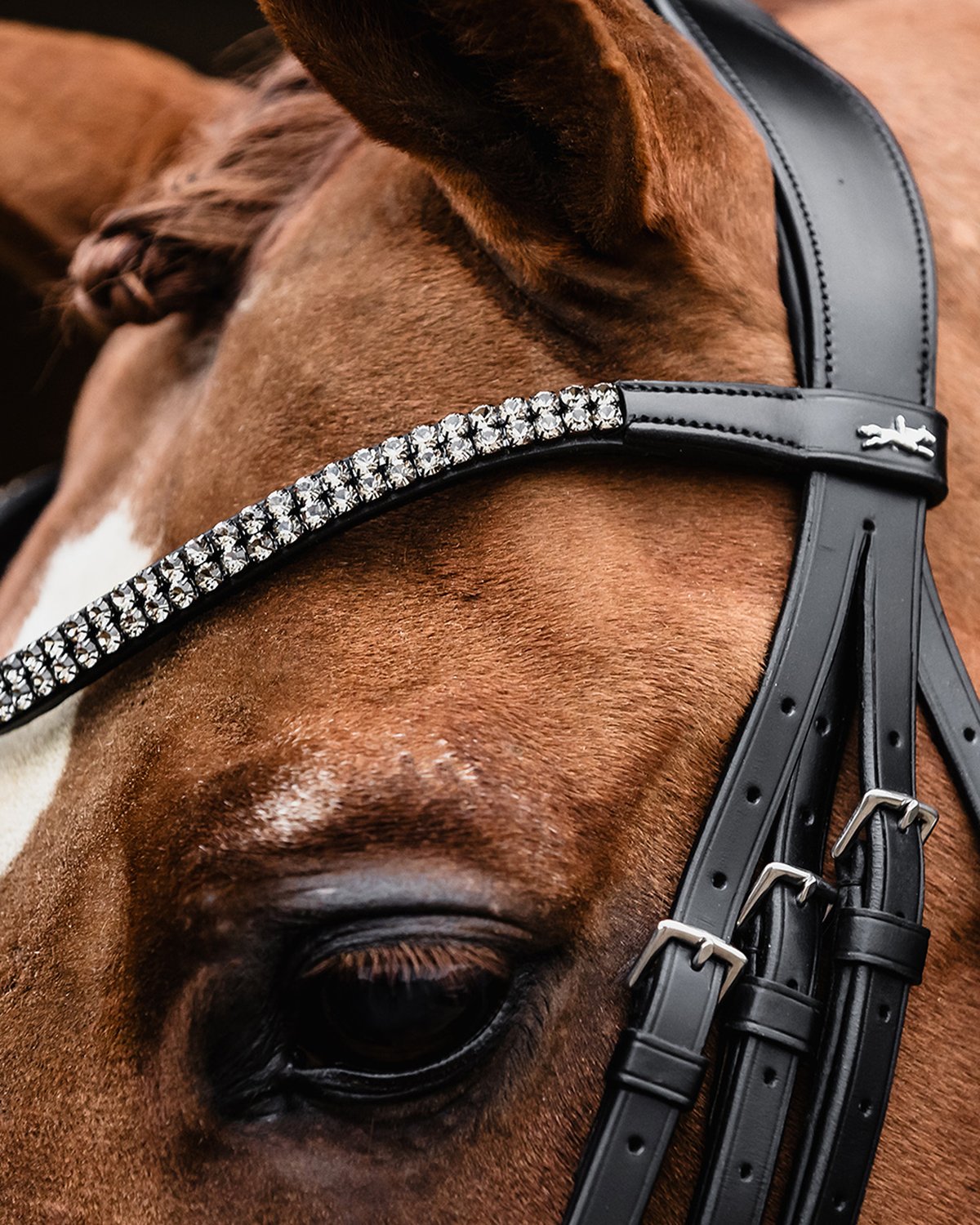 Schockemohle Double Bridle Monticelli black/silver
