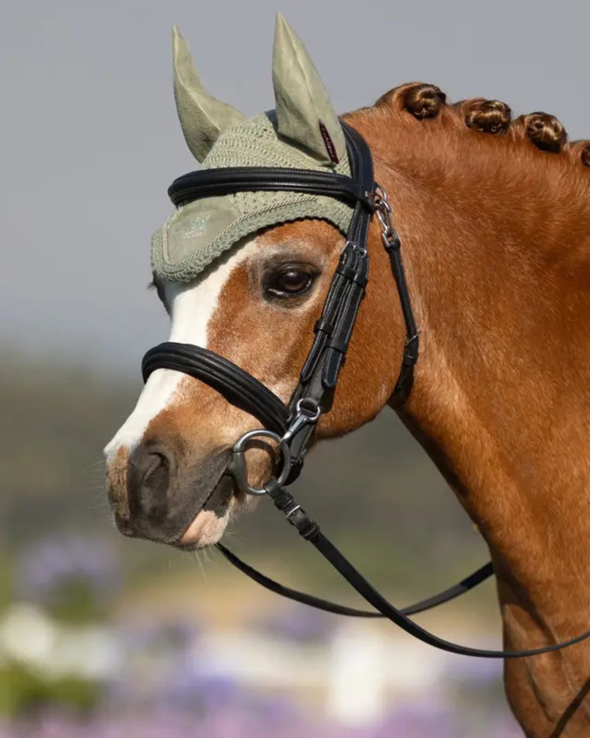 LeMieux Mini Fly Hood Fern for Ponies: Stylish Equestrian Protection | Equiflair