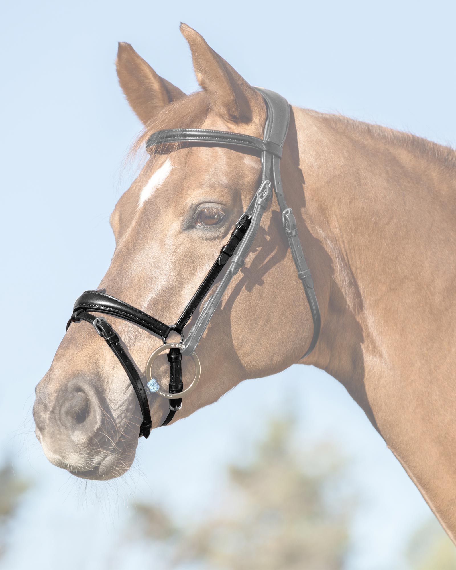 Acavallo Flash Noseband Quick Coupling Black