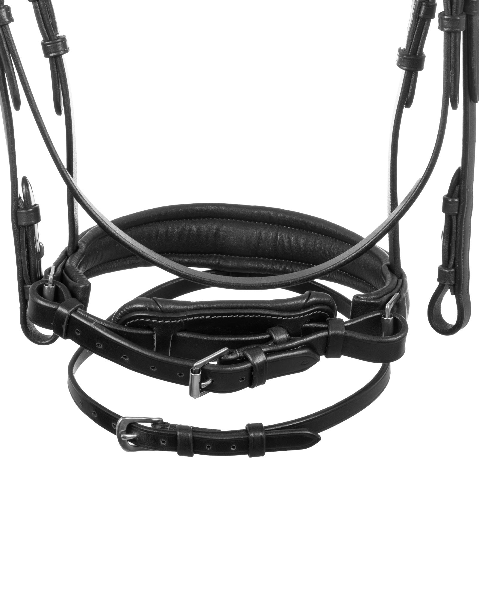 Acavallo Primavera Bridle Calfskin Black