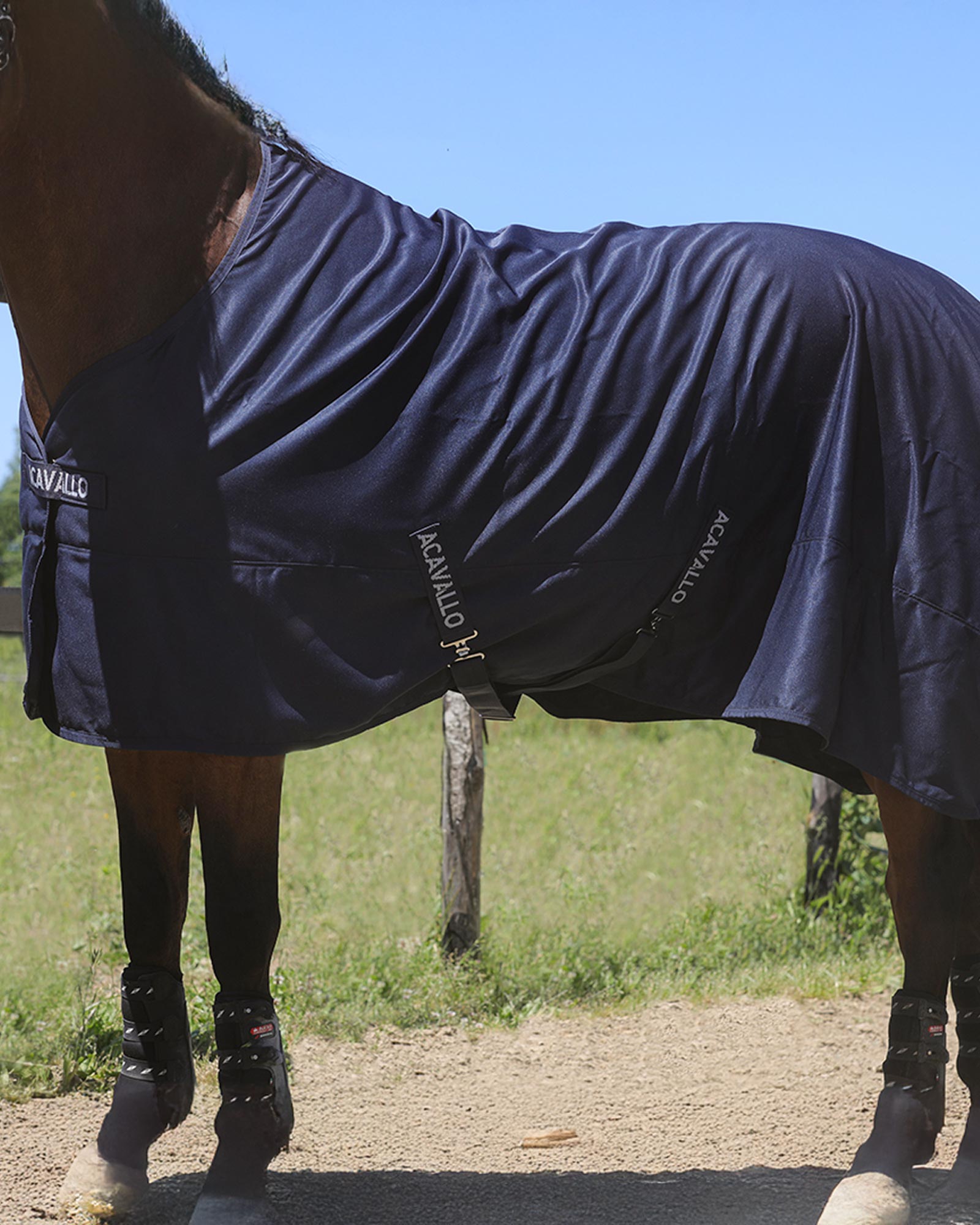 Acavallo Spring Sheet Stable Rug Navy