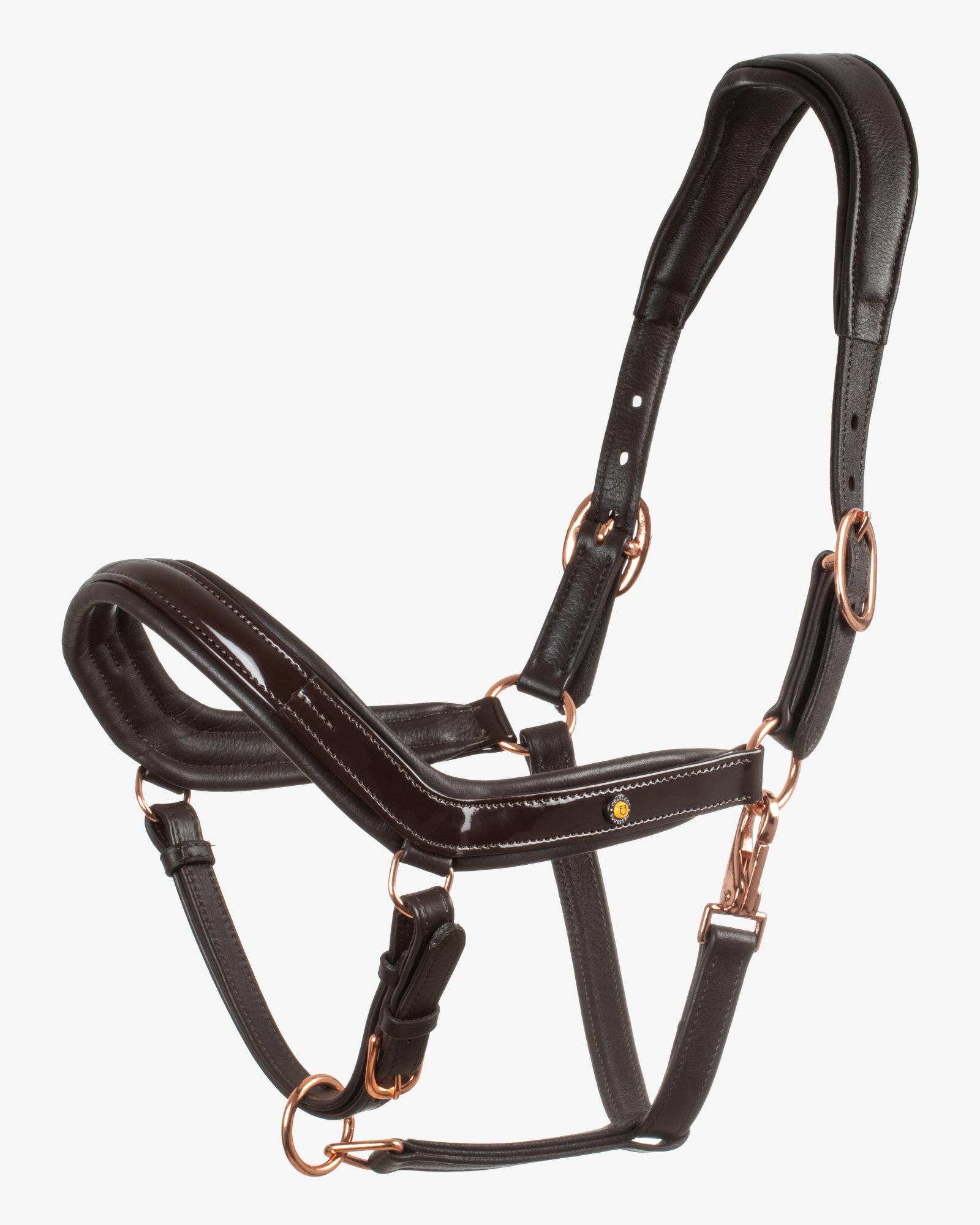 Equestro Polished Leather Halter With Rose Gold Buckles Dark Brown | Equiflair